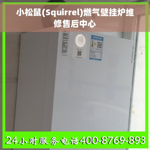 小松鼠(Squirrel)燃气壁挂炉维修售后中心
