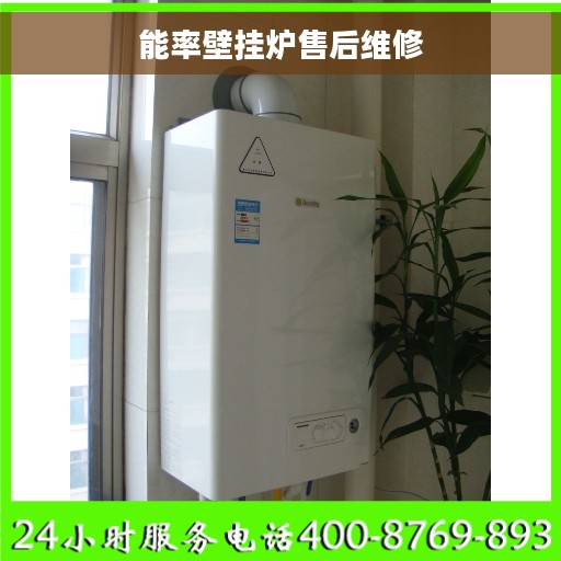 能率壁挂炉售后维修