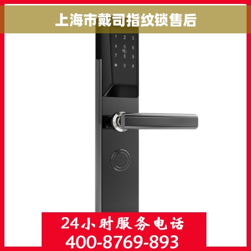 上海市戴司指纹锁售后