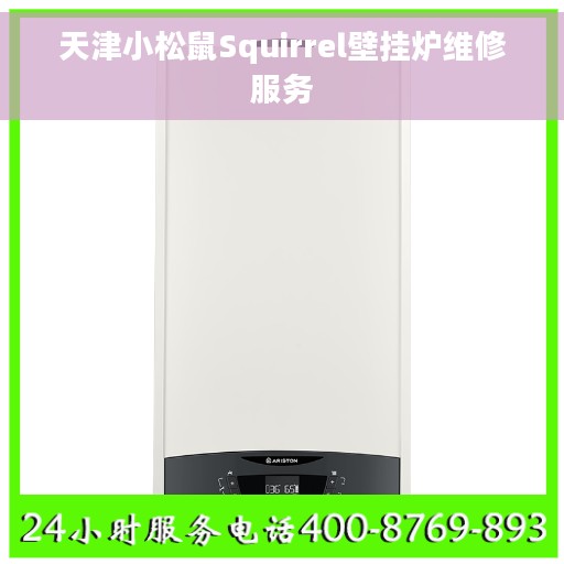 天津小松鼠Squirrel壁挂炉维修服务