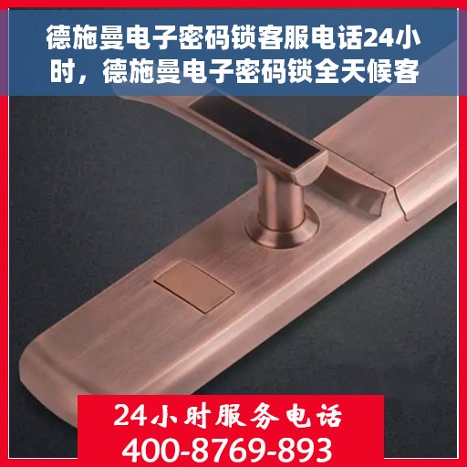 德施曼电子密码锁客服电话24小时，德施曼电子密码锁全天候客服热线支持，贴心服务随时相伴
