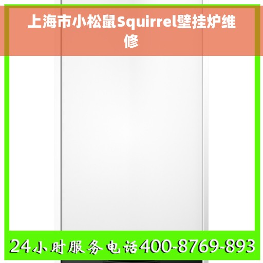 上海市小松鼠Squirrel壁挂炉维修