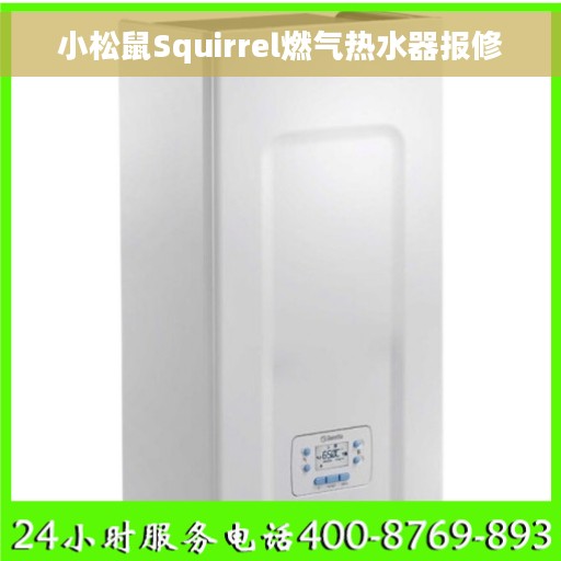 小松鼠Squirrel燃气热水器报修