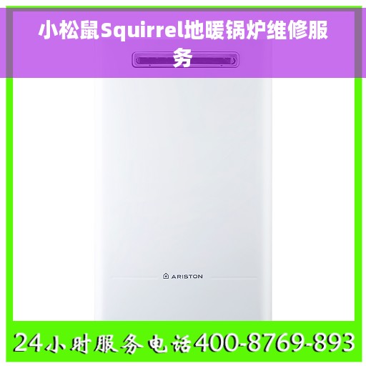 小松鼠Squirrel地暖锅炉维修服务