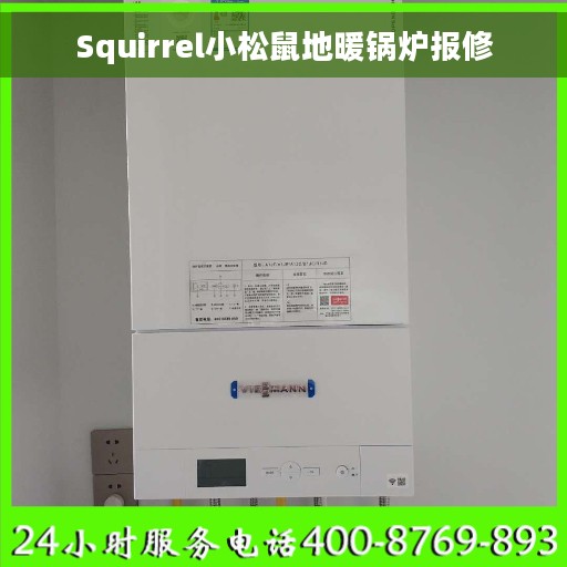 Squirrel小松鼠地暖锅炉报修