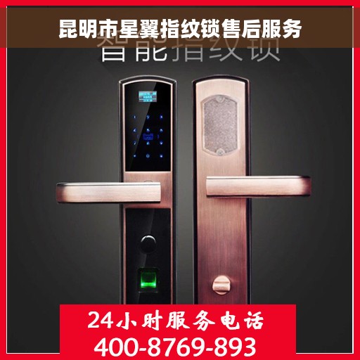 昆明市星翼指纹锁售后服务