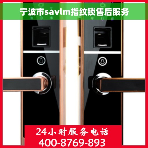 宁波市savlm指纹锁售后服务