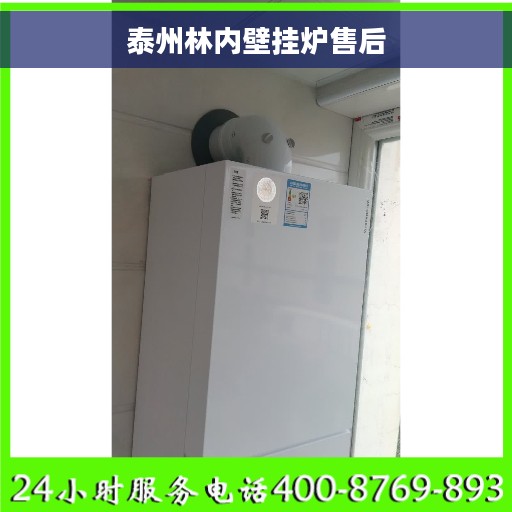 泰州林内壁挂炉售后