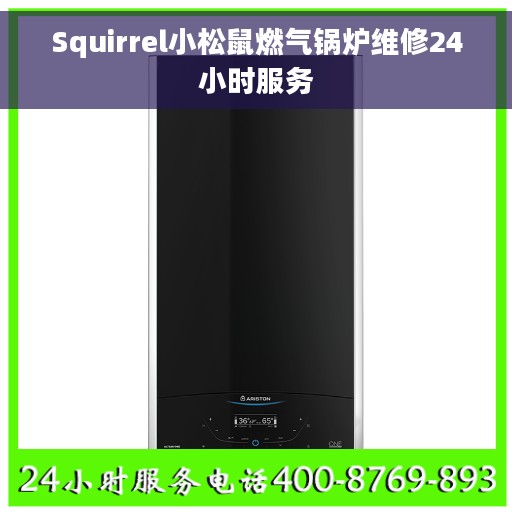 Squirrel小松鼠燃气锅炉维修24小时服务