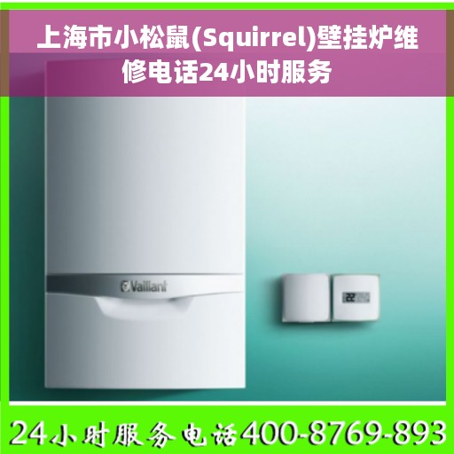 上海市小松鼠(Squirrel)壁挂炉维修电话24小时服务
