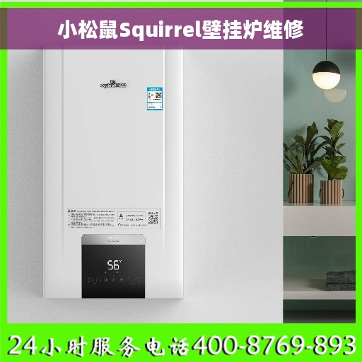 小松鼠Squirrel壁挂炉维修