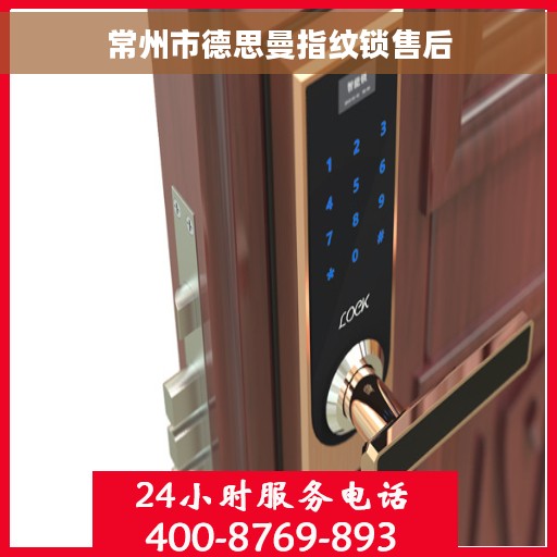 常州市德思曼指纹锁售后