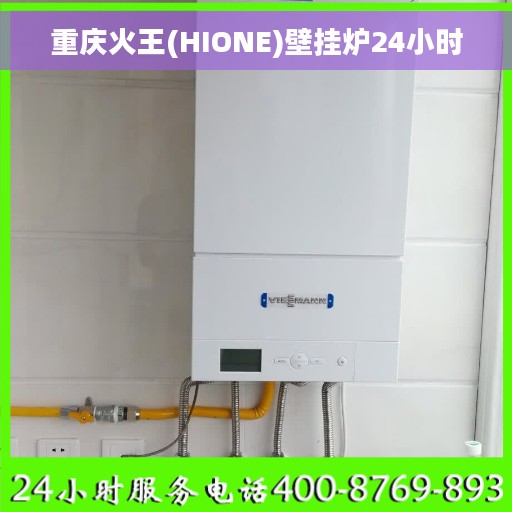 重庆火王(HIONE)壁挂炉24小时