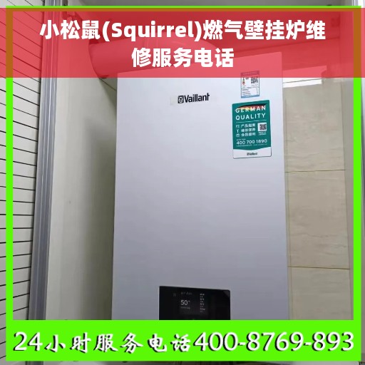 小松鼠(Squirrel)燃气壁挂炉维修服务电话