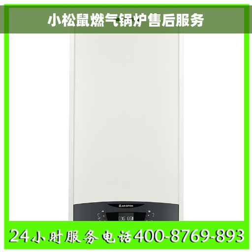 小松鼠燃气锅炉售后服务