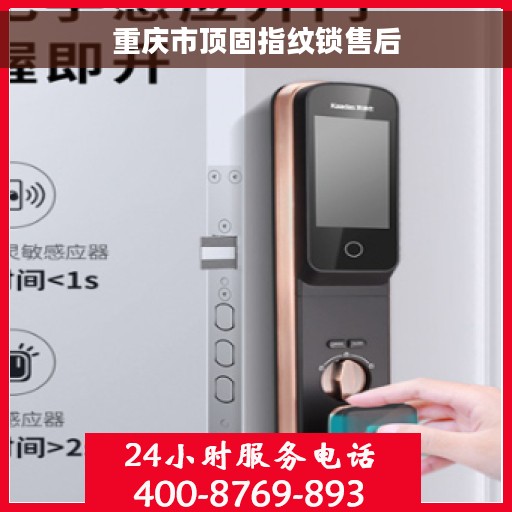 重庆市顶固指纹锁售后