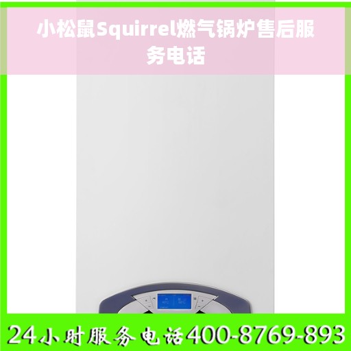 小松鼠Squirrel燃气锅炉售后服务电话