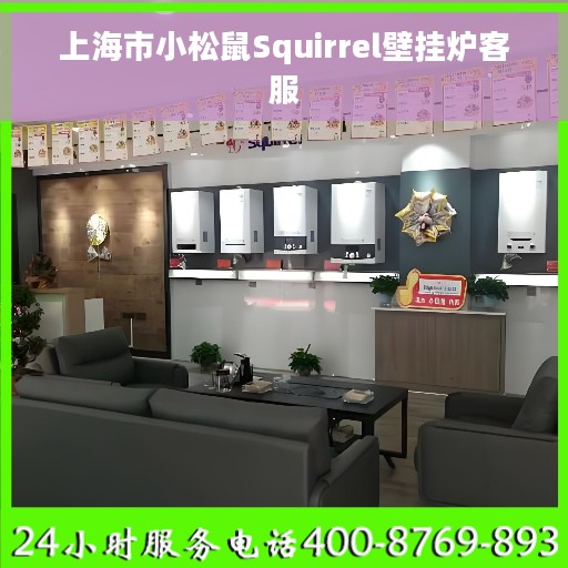 上海市小松鼠Squirrel壁挂炉客服