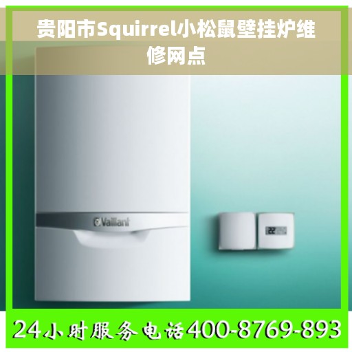 贵阳市Squirrel小松鼠壁挂炉维修网点