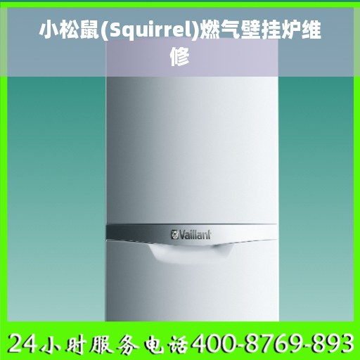 小松鼠(Squirrel)燃气壁挂炉维修