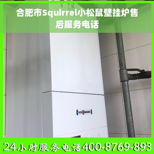 合肥市Squirrel小松鼠壁挂炉售后服务电话