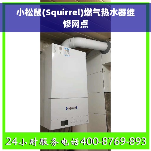 小松鼠(Squirrel)燃气热水器维修网点