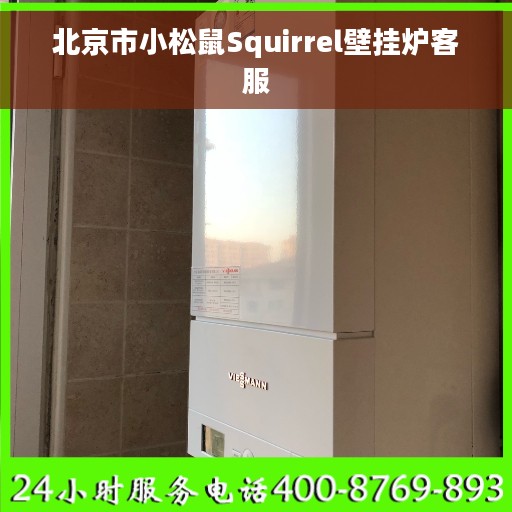 北京市小松鼠Squirrel壁挂炉客服