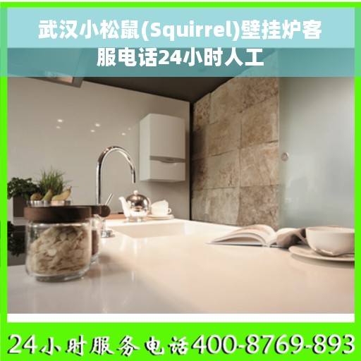 武汉小松鼠(Squirrel)壁挂炉客服电话24小时人工