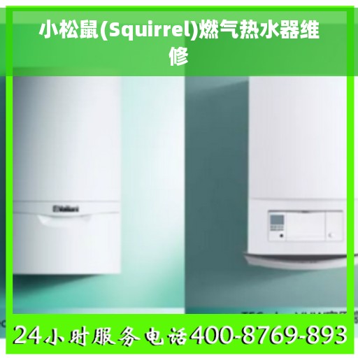 小松鼠(Squirrel)燃气热水器维修
