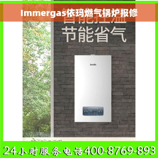 Immergas依玛燃气锅炉报修