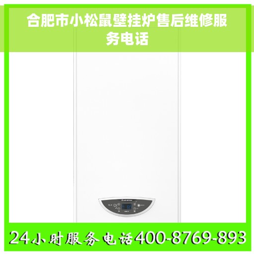 合肥市小松鼠壁挂炉售后维修服务电话 合肥市小松鼠壁挂炉售后维修服务电话