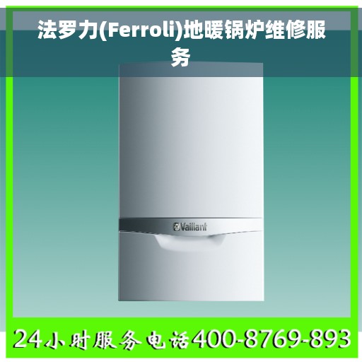 法罗力(Ferroli)地暖锅炉维修服务