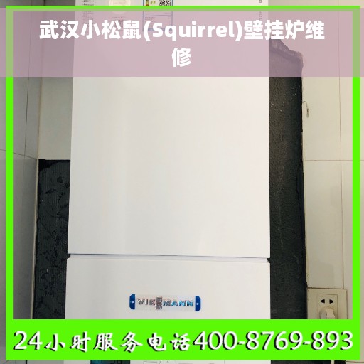 武汉小松鼠(Squirrel)壁挂炉维修