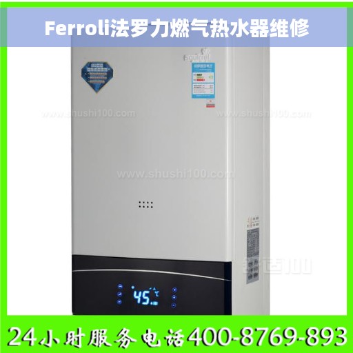 Ferroli法罗力燃气热水器维修