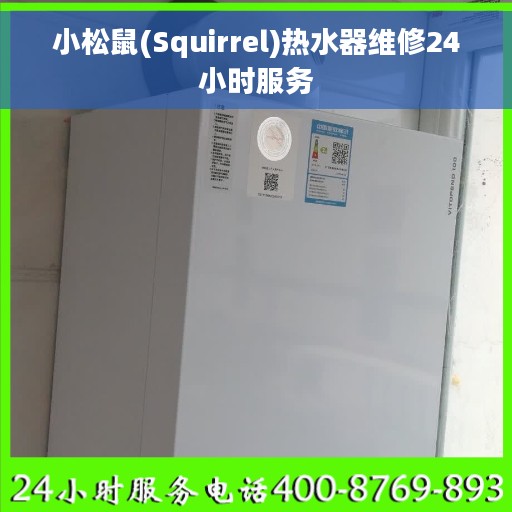 小松鼠(Squirrel)热水器维修24小时服务