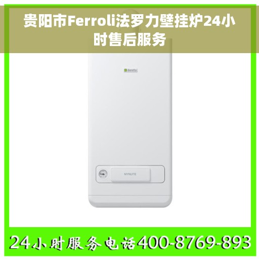贵阳市Ferroli法罗力壁挂炉24小时售后服务