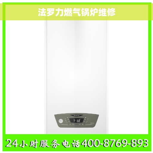 法罗力燃气锅炉维修