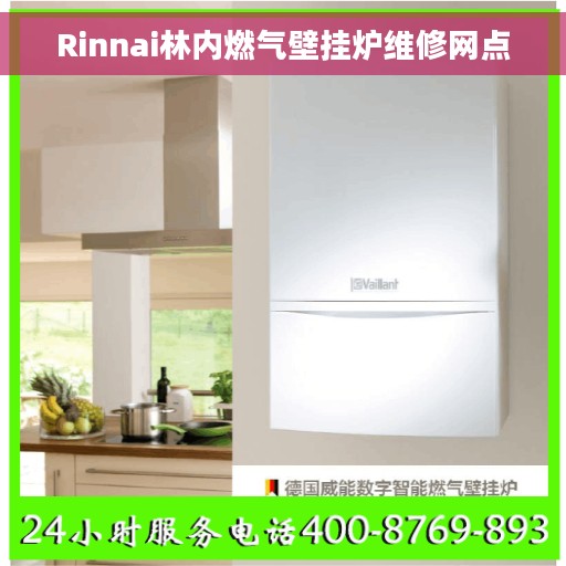 Rinnai林内燃气壁挂炉维修网点