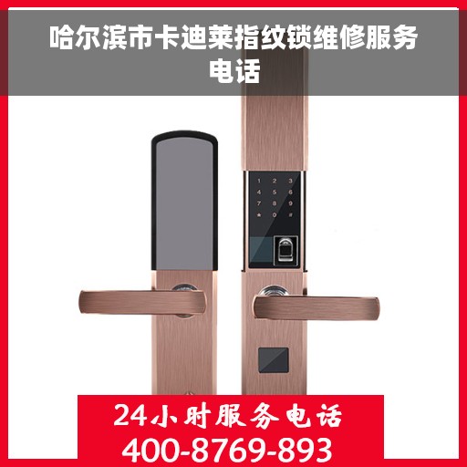 哈尔滨市卡迪莱指纹锁维修服务电话