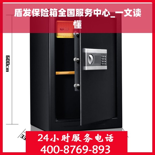 盾发保险箱全国服务中心_一文读懂