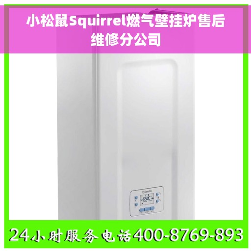 小松鼠Squirrel燃气壁挂炉售后维修分公司