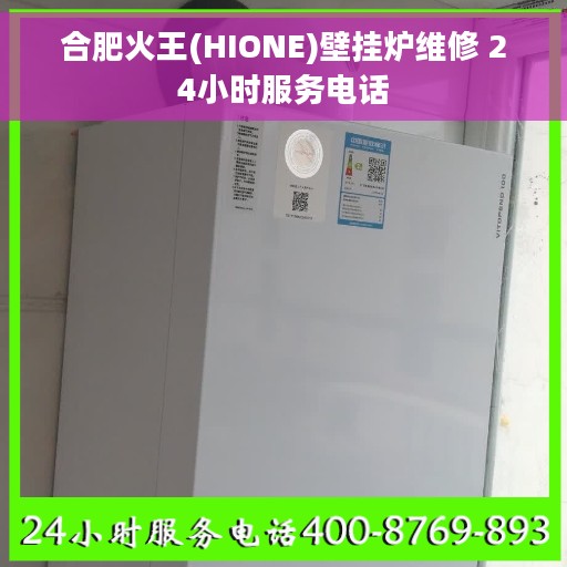 合肥火王(HIONE)壁挂炉维修 24小时服务电话