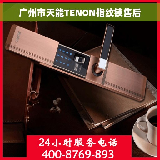 广州市天能TENON指纹锁售后