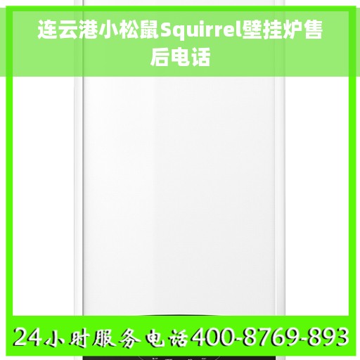 连云港小松鼠Squirrel壁挂炉售后电话