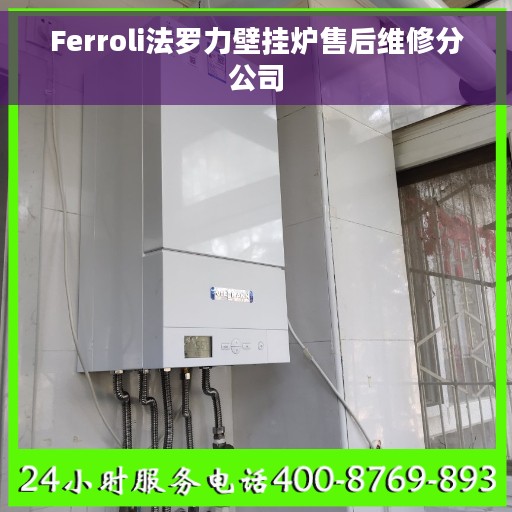 Ferroli法罗力壁挂炉售后维修分公司