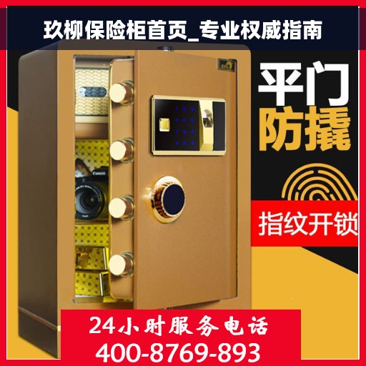 玖柳保险柜首页_专业权威指南