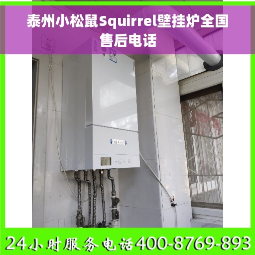 泰州小松鼠Squirrel壁挂炉全国售后电话