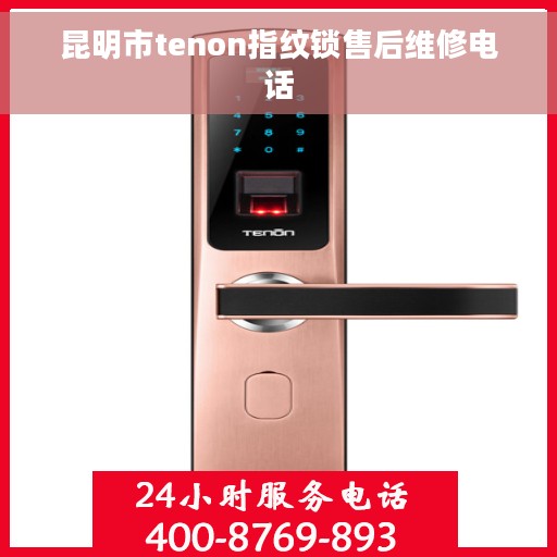 昆明市tenon指纹锁售后维修电话