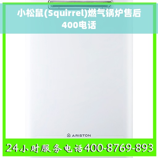 小松鼠(Squirrel)燃气锅炉售后400电话
