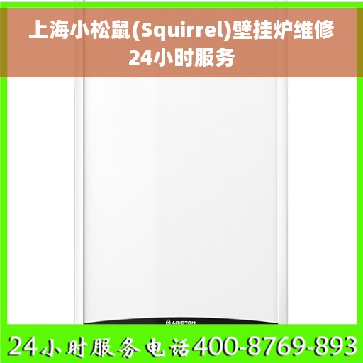 上海小松鼠(Squirrel)壁挂炉维修24小时服务